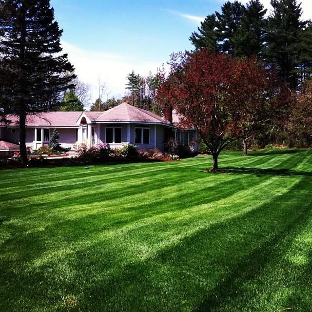 Property Maintenance